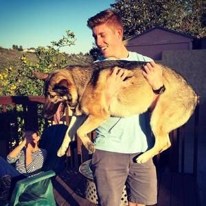 Meet your Posher, Steven